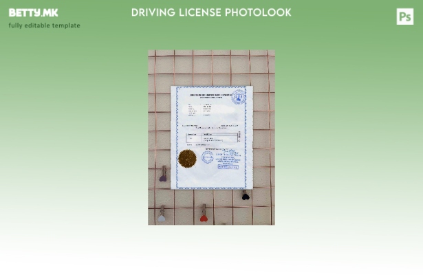 Возачка дозвола во Мјанмар во модерен стил БЕСПЛАТЕН шаблон за фотографирање